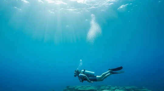 Plongeur débutant explorant un récif corallien lors de son premier baptême de plongée