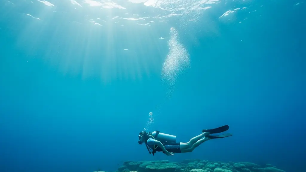 Plongeur débutant explorant un récif corallien lors de son premier baptême de plongée